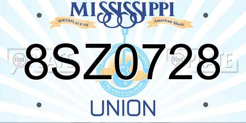 8SZ0728 Mississippi License Plate