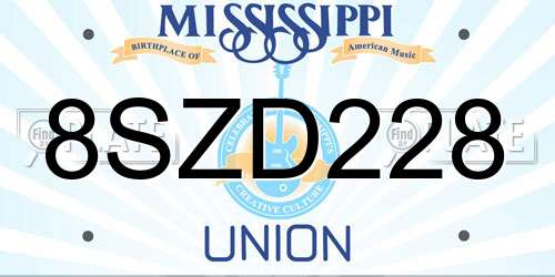 8SZD228 Mississippi License Plate