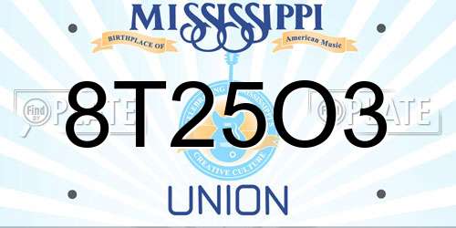 8T25O3 Mississippi License Plate