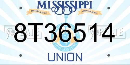 8T36514 Mississippi License Plate