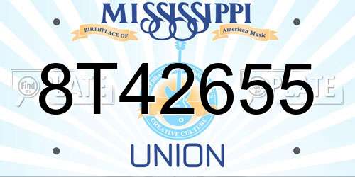 8T42655 Mississippi License Plate