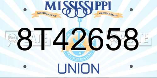 8T42658 Mississippi License Plate