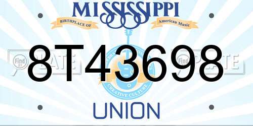 8T43698 Mississippi License Plate