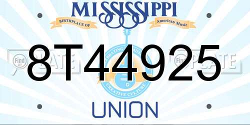 8T44925 Mississippi License Plate