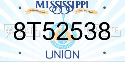 8T52538 Mississippi License Plate