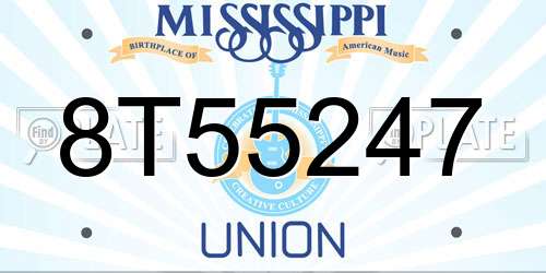 8T55247 Mississippi License Plate