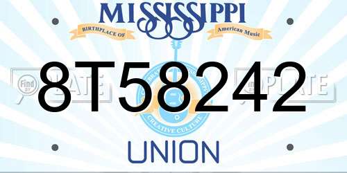 8T58242 Mississippi License Plate
