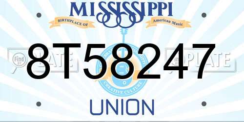 8T58247 Mississippi License Plate