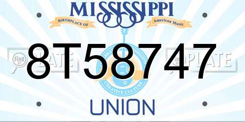 8T58747 Mississippi License Plate