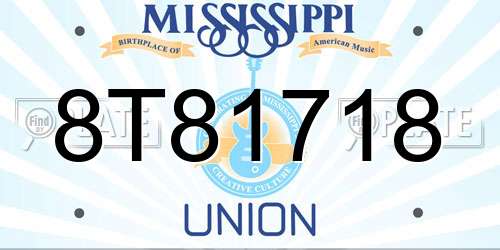 8T81718 Mississippi License Plate