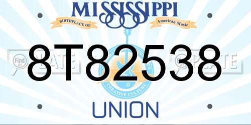 8T82538 Mississippi License Plate