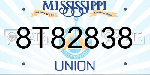 8T82838 Mississippi License Plate