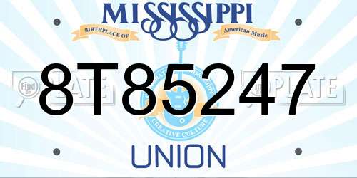 8T85247 Mississippi License Plate