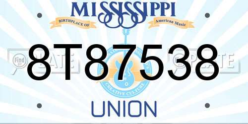 8T87538 Mississippi License Plate