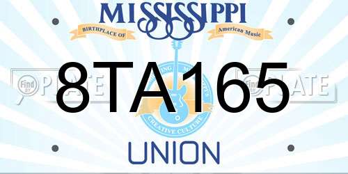 8TA165 Mississippi License Plate