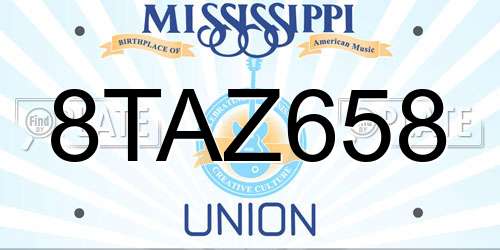 8TAZ658 Mississippi License Plate