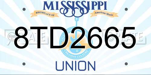 8TD2665 Mississippi License Plate