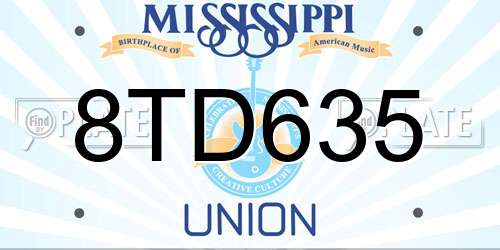 8TD635 Mississippi License Plate