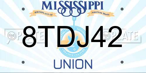 8TDJ42 Mississippi License Plate