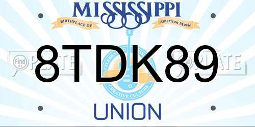 8TDK89 Mississippi License Plate