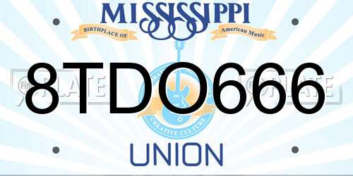 8TDO666 Mississippi License Plate