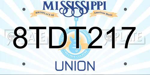 8TDT217 Mississippi License Plate