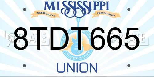 8TDT665 Mississippi License Plate