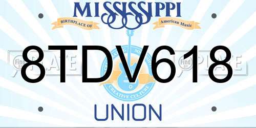 8TDV618 Mississippi License Plate