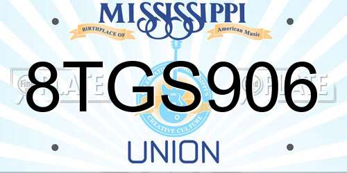 8TGS906 Mississippi License Plate