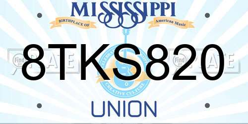 8TKS820 Mississippi License Plate