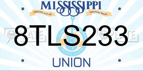 8TLS233 Mississippi License Plate