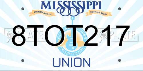 8TOT217 Mississippi License Plate