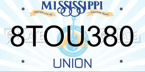 8TOU380 Mississippi License Plate