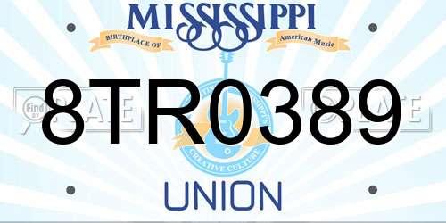 8TR0389 Mississippi License Plate