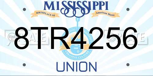 8TR4256 Mississippi License Plate