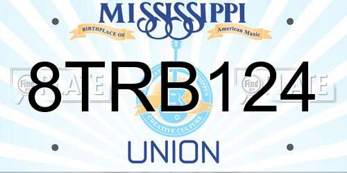 8TRB124 Mississippi License Plate