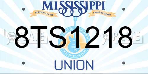 8TS1218 Mississippi License Plate