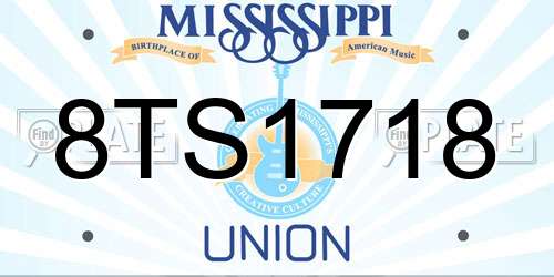 8TS1718 Mississippi License Plate