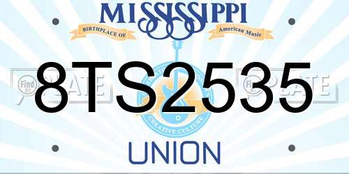 8TS2535 Mississippi License Plate