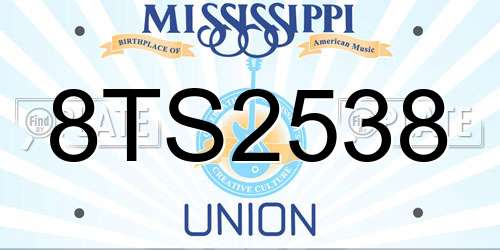 8TS2538 Mississippi License Plate
