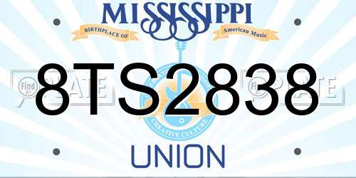 8TS2838 Mississippi License Plate
