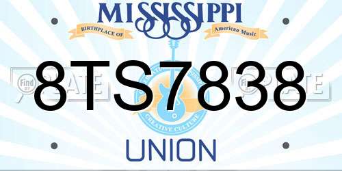 8TS7838 Mississippi License Plate
