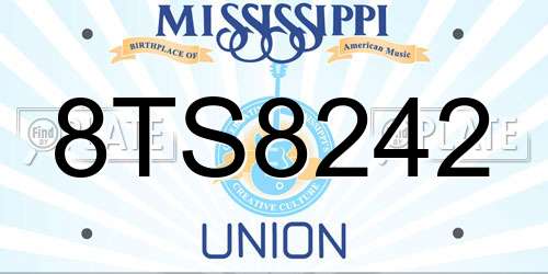 8TS8242 Mississippi License Plate
