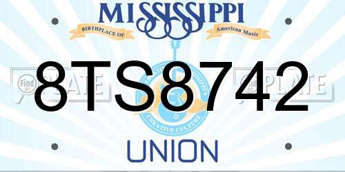 8TS8742 Mississippi License Plate