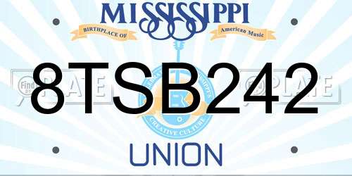 8TSB242 Mississippi License Plate