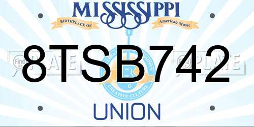 8TSB742 Mississippi License Plate