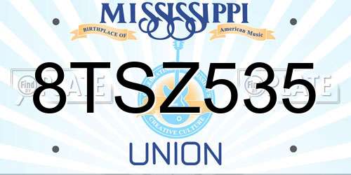 8TSZ535 Mississippi License Plate