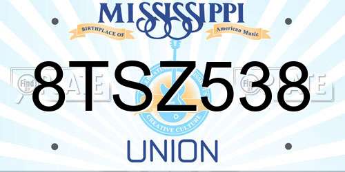 8TSZ538 Mississippi License Plate