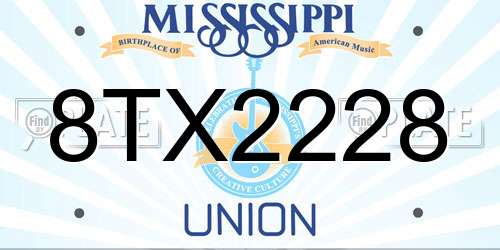 8TX2228 Mississippi License Plate