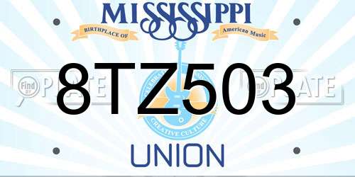 8TZ503 Mississippi License Plate